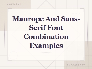 Manrope and Sans-Serif Font Combination Examples for Modern Design